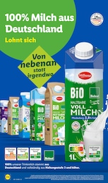 Heringsfilet Angebot im aktuellen Lidl Prospekt auf Seite 16