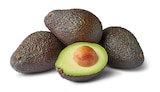 Avocado angereift im Penny Prospekt Avocado angereift von Marktliebe im aktuellen Penny Prospekt für 0,69 €