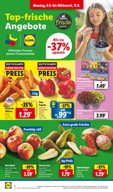 Aktueller Lidl Prospekt mit Blumenzwiebeln, "LIDL LOHNT SICH", Seite 2