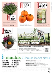 Aktueller Moubis Pflanzenhof Prospekt mit Dünger, "MACH DEINEN GARTEN HERBST-FIT", Seite 8