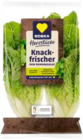 EDEKA Frischemarkt Hohenfelde - Mini Romana Salat Angebot im Prospekt Mini Romana Salat bei EDEKA Frischemarkt im Hohenfelde Prospekt für 0,88 €
