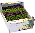 Aktuelles Shiso Mix Kresse Angebot bei METRO in Düsseldorf ab 19,99 €