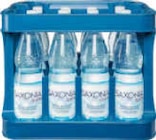 Mineralwasser im Angebot bei Netto Marken-Discount in Magdeburg Mineralwasser Angebote von Saxonia bei Netto Marken-Discount Magdeburg für 2,99 €