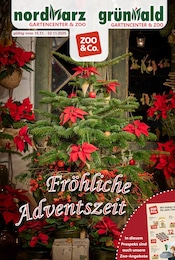 Aktueller Garten-Center Nordharz GmbH & Co. KG Garten & Pflanzen Prospekt in Sehnde und Umgebung, "FRÖHLICHE ADVENTSZEIT" mit 16 Seiten, 15.11.2025 - 22.11.2025