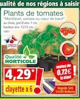 Plants de tomates dans le catalogue Norma