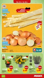 Aktueller Penny Prospekt mit Pflanzen, "Wer günstig will, muss Penny.", Seite 3