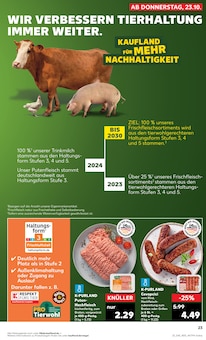 Hackfleisch im aktuellen Kaufland Prospekt (Ingolstadt) Hackfleisch im Kaufland Prospekt "Aktuelle Angebote" mit 61 Seiten (Ingolstadt)