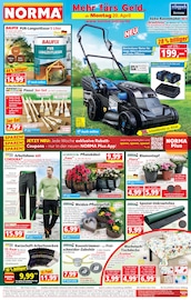 Aktueller Norma Discounter Prospekt in Erlenbach und Umgebung, "Mehr fürs Geld" mit 21 Seiten, 20.04.2026 - 25.04.2026