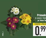 Primeln bei E center im Wangen Prospekt für 0,99 €