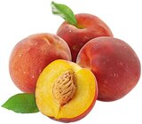 Pfirsiche im REWE Prospekt Gelbfleischige Pfirsiche im aktuellen REWE Prospekt für 3,99 €