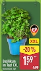 Aktuelles Basilikum im Topf XXL Angebot bei ALDI Nord in Bremen ab 1,59 €