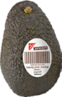 Avocado "Hass" von GUT&GÜNSTIG im aktuellen E xpress Prospekt für 0,99 €