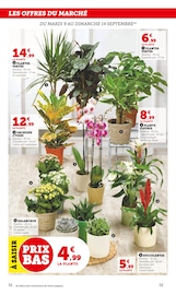 Plante Verte Angebote im Prospekt "Super U" von Super U auf Seite 32