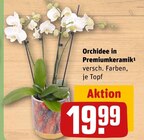 Orchidee in Premiumkeramik im Angebot bei REWE in Regensburg Orchidee in Premiumkeramik Angebote bei REWE Regensburg für 19,99 €