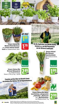 Kürbis im aktuellen E center Prospekt (Offenbach (Main)) Kürbis im E center Prospekt "Aktuelle Angebote" mit 55 Seiten (Offenbach (Main))