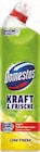 Kraft & Frische WC Gel Lime Fresh Angebote von Domestos bei EDEKA Stade für 1,59 €