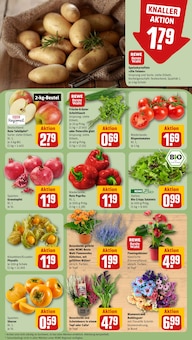 Blumen im REWE Prospekt "Dein Markt" mit 28 Seiten (Osnabrück)