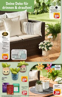 Blumentopf im REWE Prospekt "Dein Markt" mit 40 Seiten (Kiel)