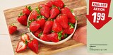 Erdbeeren im Angebot bei REWE in Laatzen Erdbeeren Angebote bei REWE Laatzen für 1,99 €