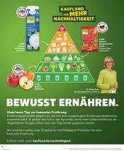 Vollmilch im Kaufland Prospekt in Heidelberg Aktueller Kaufland Prospekt mit Vollmilch, "Aktuelle Angebote", Seite 36