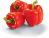 Aktuelle Paprika Angebote bei Netto Marken-Discount in Osnabrück Aktuelles Paprika rot Angebot bei Netto Marken-Discount in Osnabrück ab 1,35 €