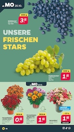 Nelke Angebote im Prospekt "Günstig. Besser. Für Dich." von Netto mit dem Scottie Nelke Angebote im Prospekt "Günstig. Besser. Für Dich." von Netto mit dem Scottie auf Seite 2