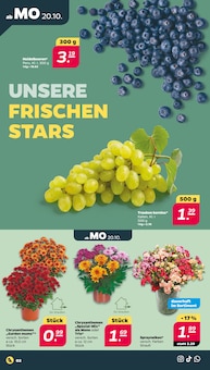 Aktueller Netto mit dem Scottie Prospekt "Günstig. Besser. Für Dich." Seite 2 von 44 Seiten für Berlin