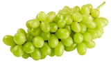 Helle Tafeltrauben für 1,39 € bei REWE im Angebot Helle Tafeltrauben im aktuellen REWE Prospekt