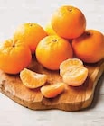 Super U Prades - Promo Mandarine Tangold Promo Mandarine Tangold à 2,99 € dans le catalogue Super U à Prades