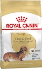 Dachshund Adult bei ZooRoyal im Elmshorn Prospekt für 11,99 €