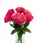 Großköpfige Hochland Rosen im Angebot bei Netto Marken-Discount in Ansbach Großköpfige Hochland Rosen Angebote bei Netto Marken-Discount Ansbach für 1,99 €