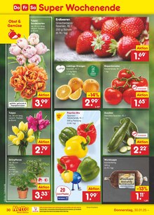 Tulpen im Netto Marken-Discount Prospekt "Aktuelle Angebote" mit 56 Seiten (Cottbus)