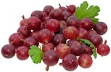Rote Stachelbeeren im REWE Prospekt Rote Stachelbeeren von REWE Regional im aktuellen REWE Prospekt für 2,99 €