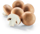 Netto Marken-Discount - Champignon braun Angebot im Prospekt Champignon braun bei Netto Marken-Discount im Prospekt "" für 1,79 €