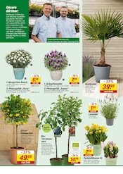 Aktueller toom Baumarkt Prospekt mit Blumen, "Willkommen zur großen Neueröffnung!", Seite 4