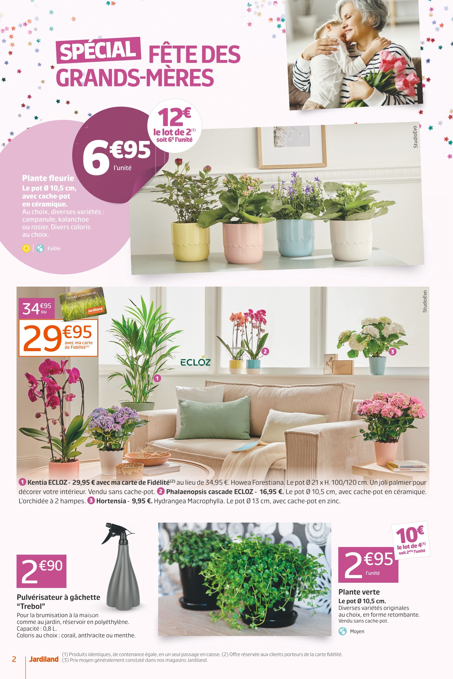 Plante D'intérieur Lidl ᐅ Promos et prix dans le catalogue de la semaine