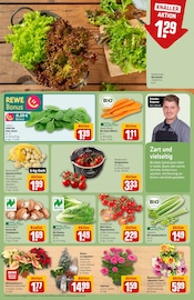 Ähnliche Angebote wie Pool im Prospekt "Dein Markt" auf Seite 7 von REWE in Gießen