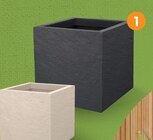 Pot carré volcania eda dans le catalogue B&M