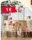 Trockenblumen Angebote bei Woolworth Elmshorn für 1,00 €