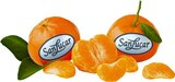 Mandarinen im Angebot bei REWE in Moers Mandarinen Angebote von San Lucar bei REWE Moers für 2,99 €