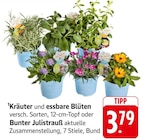 Kräuter und essbare Blüten bei EDEKA im Brodenbach Prospekt für 3,79 €