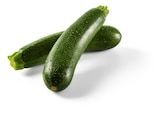 Lidl Wörrstadt - Zucchini Angebot im Prospekt Zucchini bei Lidl im Wörrstadt Prospekt für 1,19 €