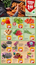 Pflanzen Angebot im aktuellen REWE Prospekt auf Seite 9