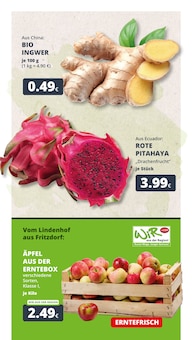 Aktueller REWE Prospekt "Dein Markt" Aktueller REWE Prospekt