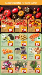 Blumen Angebot & Preis im aktuellen REWE Prospekt Blumen Angebot im aktuellen REWE Prospekt auf Seite 5