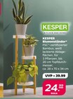 Blumenständer von KESPER im aktuellen Netto mit dem Scottie Prospekt für 24,99 €