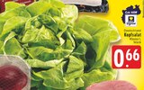 EDEKA Fröndenberg - Kopfsalat Angebot im Prospekt Kopfsalat bei EDEKA im Fröndenberg Prospekt für 0,66 €