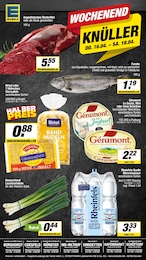 EDEKA Prospekt für Telgte: "Aktuelle Angebote", 1 Seite, 16.04.2026 - 18.04.2026