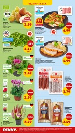 Salat Angebot im aktuellen Penny Prospekt auf Seite 30