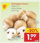 Netto Marken-Discount - Champignon braun Angebot im Prospekt Champignon braun bei Netto Marken-Discount im Prospekt "" für 1,99 €